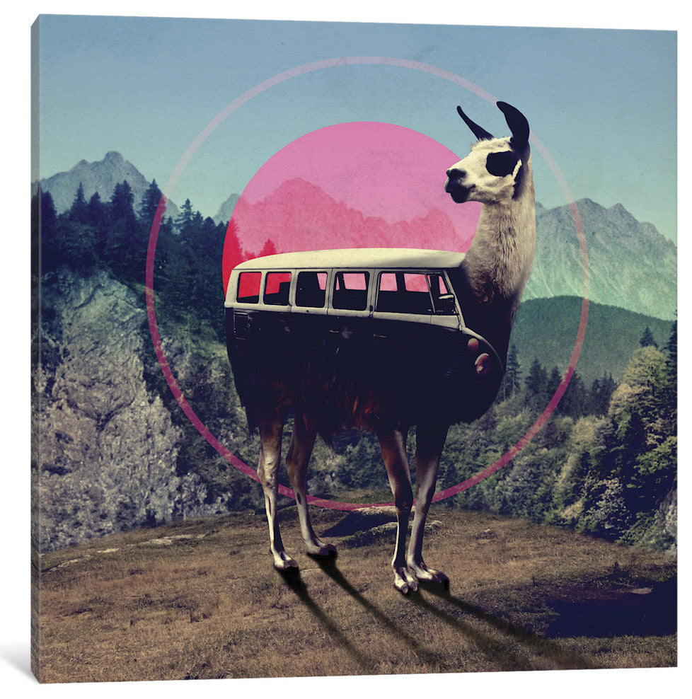 "Llama" by Ali Gulec, Canvas Print, 18"x18"