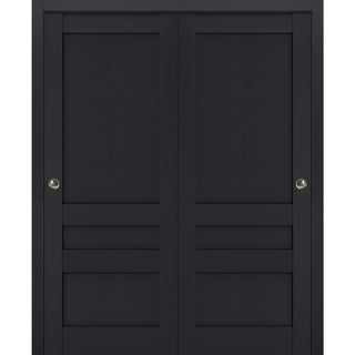 Sliding Bypass Doors 60 x 96, Veregio 7411 Antracite