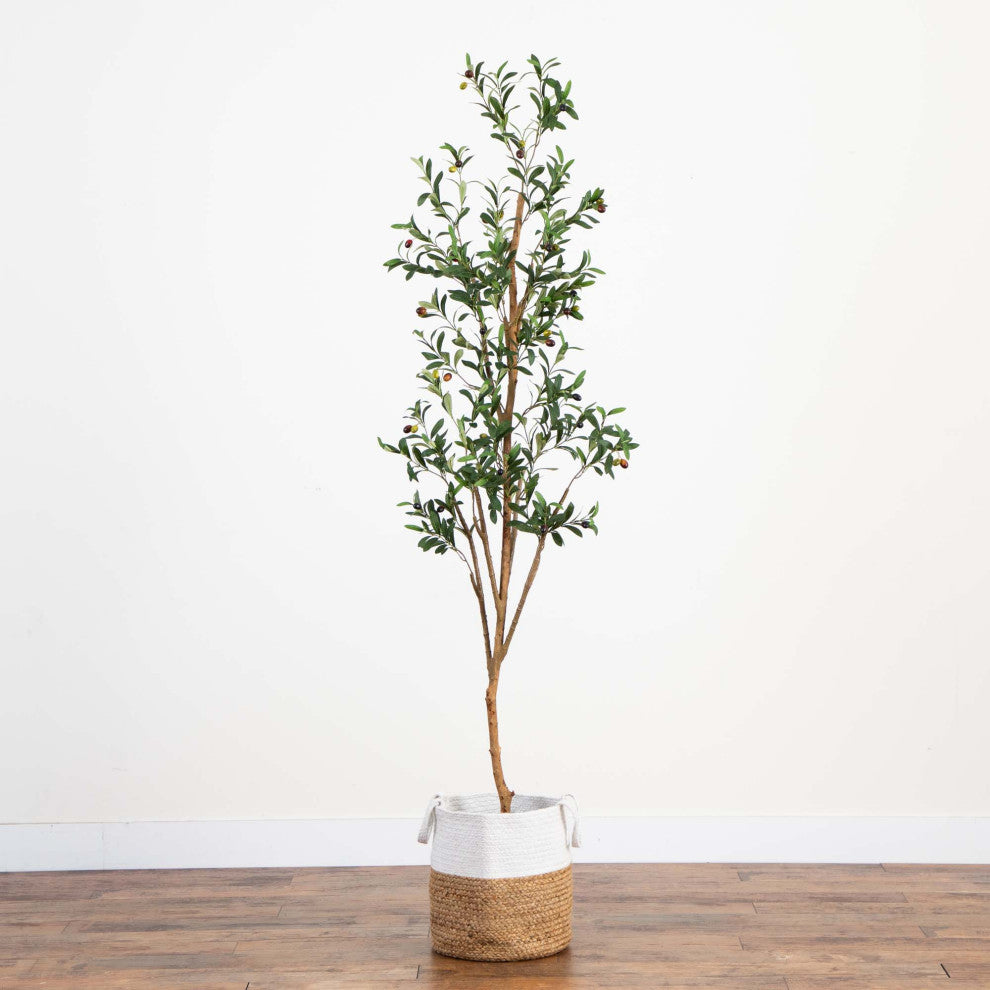 Full plant on a white background; complete vertical view.