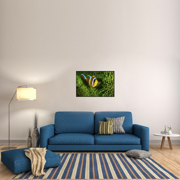 "Yellow Clownfish On Green Anemon"  by Barathieu Gabriel, 37x25"