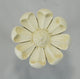 Daisy Medallion Drapery Holdback, Ivory