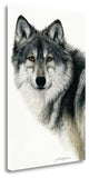 "Silent Watch" By Jan Henderson, Giclee Print on Gallery Wrap Canvas