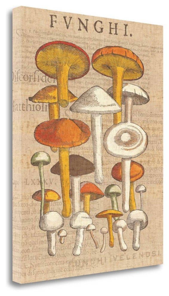 "Funghi Velenosi II" By Wild Apple Portfolio, Giclee on Gallery Wrap Canvas