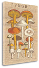 "Funghi Velenosi II" By Wild Apple Portfolio, Giclee on Gallery Wrap Canvas