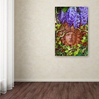 Tina Lavoie 'Secret Garden' Canvas Art, 12" x 19"