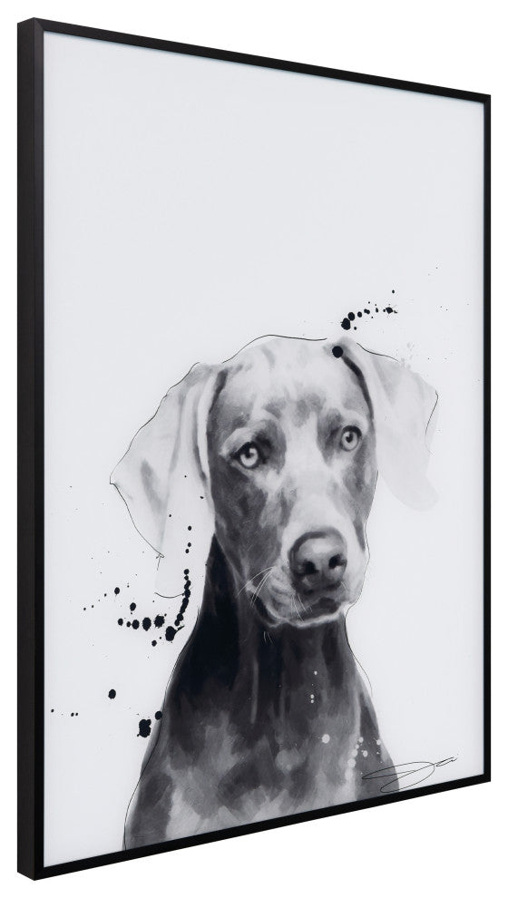 "Weimaraner" Black and White Pet Art on Printed Glass with Anodized Frame