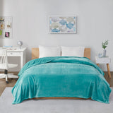 Intelligent Design Solid Microlight Plush Brushed Blanket, Twin/Twin Xl