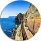 Train And Railroad Station In Manarola, Landscape Disc Artwork, 11"