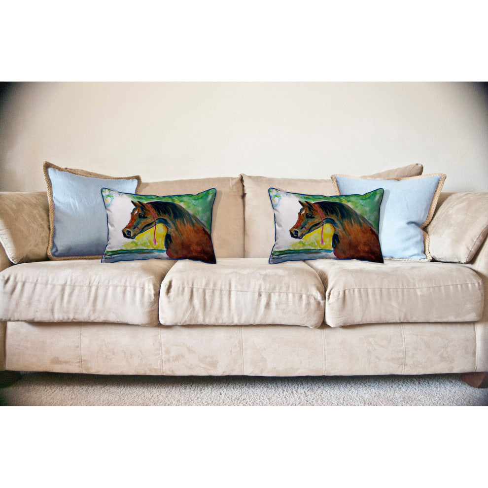 Prize Horse Large Indoor/Outdoor Pillow 16x20