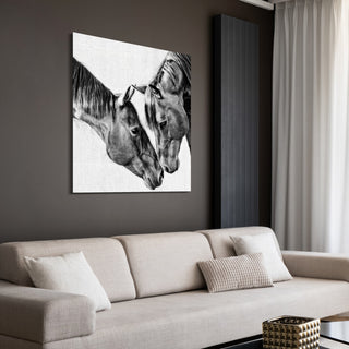 "Kindred Colts" Frameless Free Floating Tempered Glass Panel Graphic Wall Art