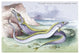 Silvery Hairtail and Scabbard Fish - Gallery Wrapped Canvas Art 28" x 42"