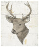 "Wild and Beautiful II with Brown" Print by Daphne Brissonnet, 39"x46"