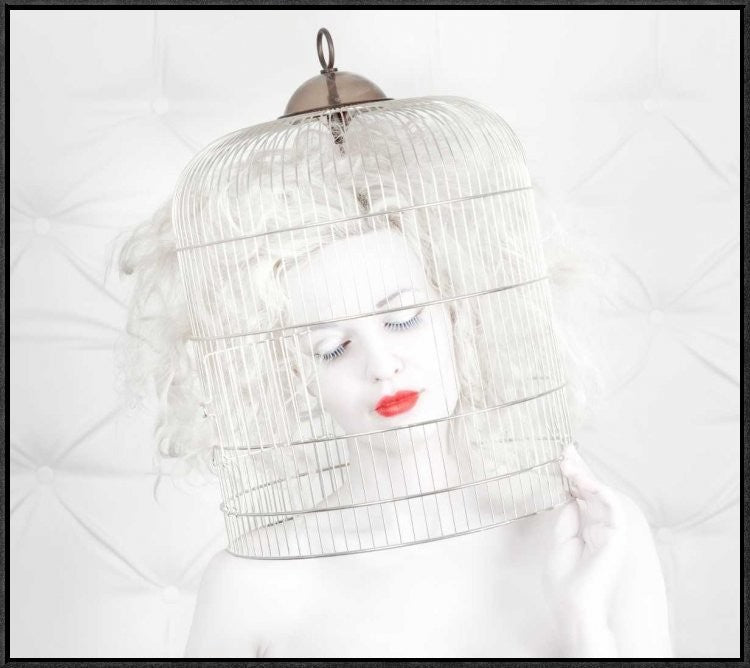 "Birdcage Love" Framed Canvas Giclee by John Andre Aasen, 31x27"