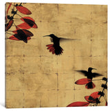 "Colibri I" by Chris Donovan, Canvas Print, 37"x37"