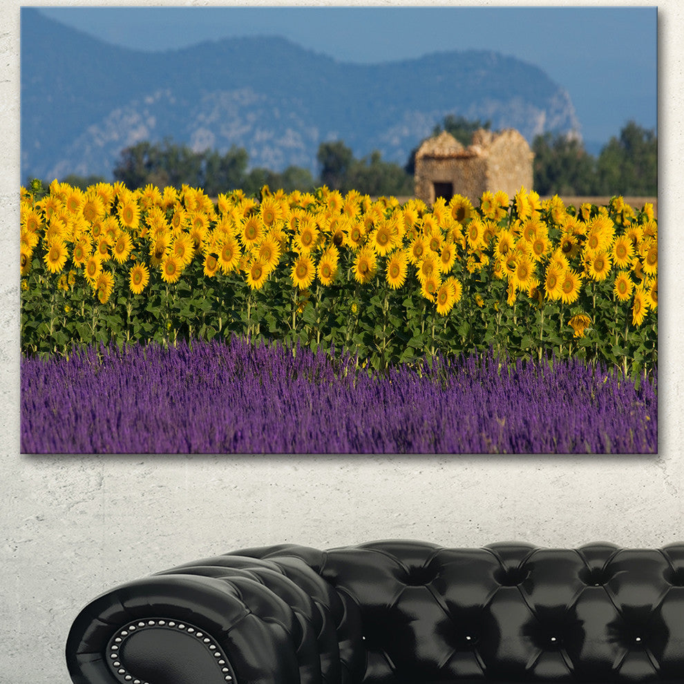 Lavender and Sunflower in Provence, Floral Canvas Art print, 40"x30"