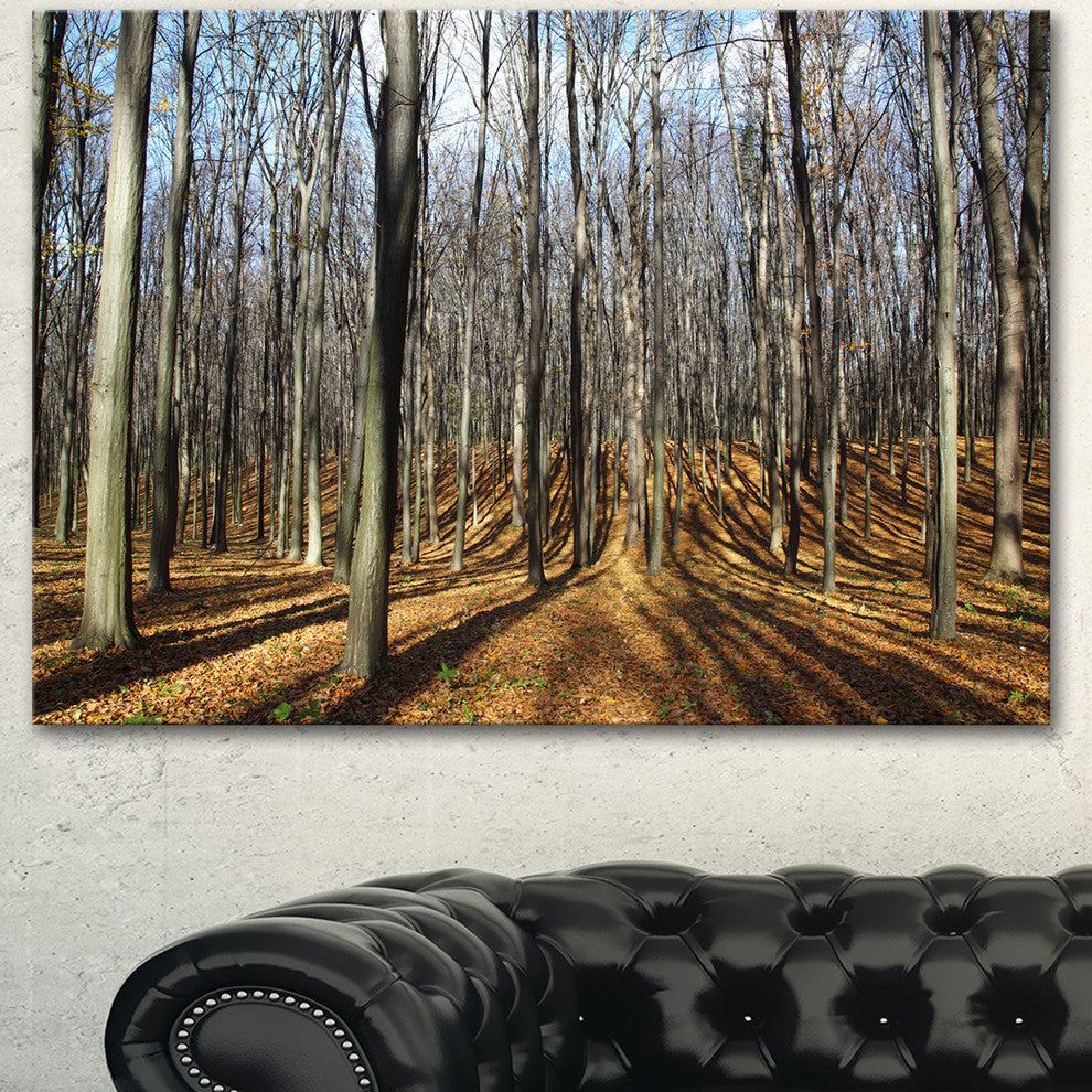Shade from Sun in Autumn Forest, Modern Forest Canvas Art, 40"x30"