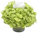 Mercury Glass Votive, White Rose and Basil Hydrangea