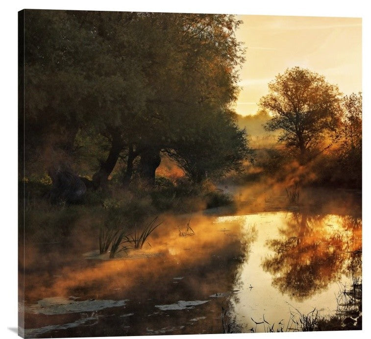"When Nature Paints With Light" Stretched Canvas Giclee by Jimbi, 30x29"