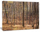 Thick Carpathian Deciduous Forest, Forest Canvas Art Print, 20"x12"