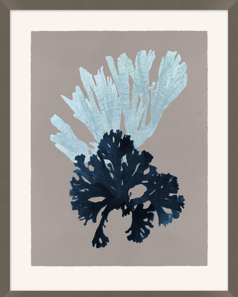 Seaweed On Taupe 3, Giclee Reproduction Artwork