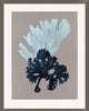Seaweed On Taupe 3, Giclee Reproduction Artwork
