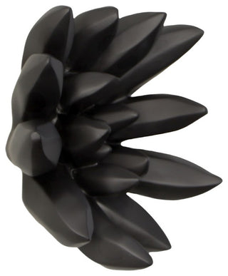 Compactum Succulent Wall Art , Smallooth Matte Black