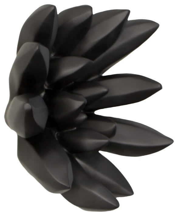 Compactum Succulent Wall Art , Smallooth Matte Black