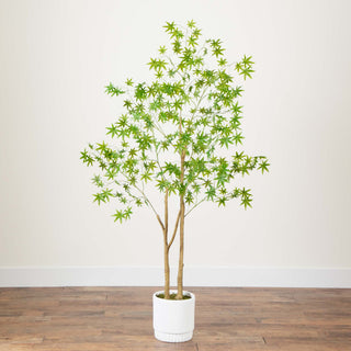 Full tree and white planter fully visible on white background.