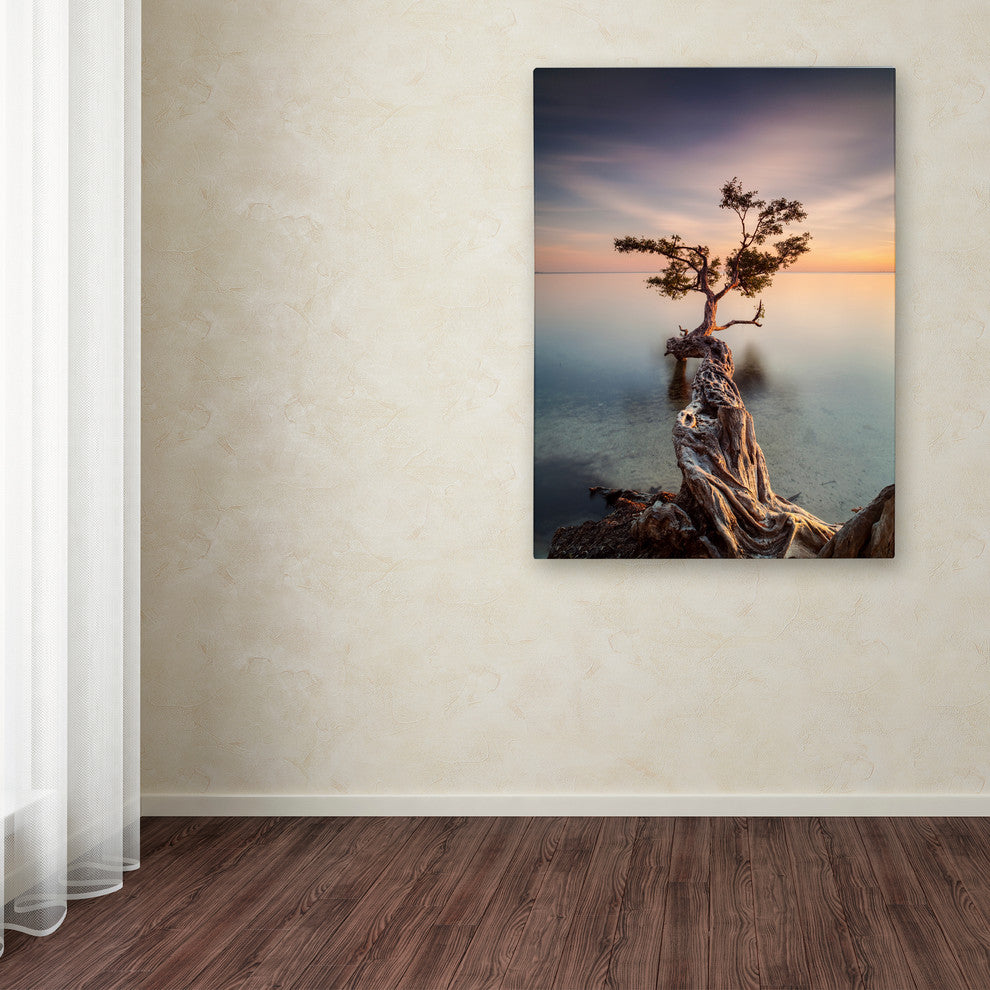 'Water Tree III' Canvas Art by Moises Levy