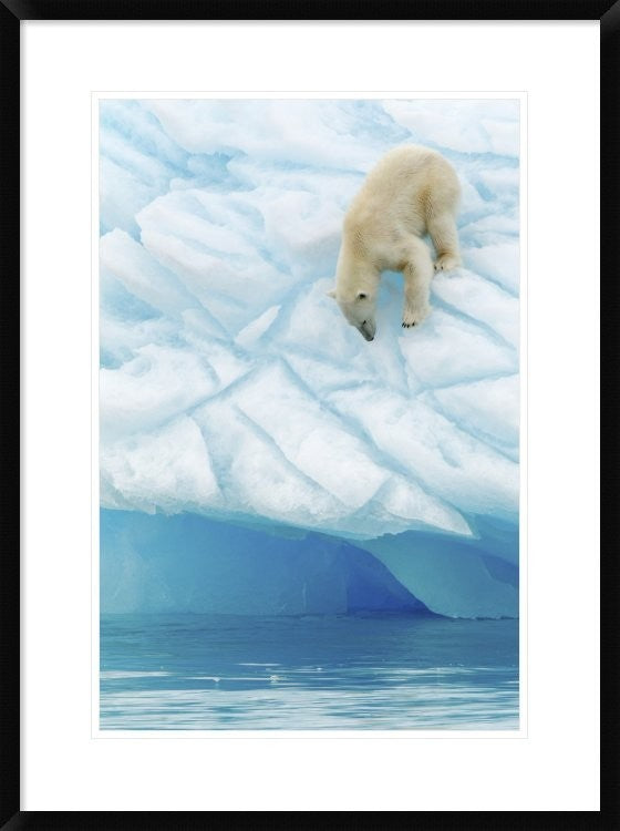 "Vertigo" Framed Digital Print by Joan Gil Raga, 24x32"