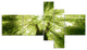 Sunlight Peeking through Green Tree, Landscape Canvas Print, 60"x32", 5 panels