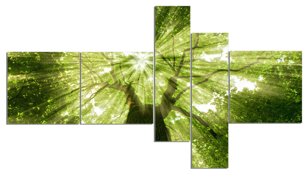 Sunlight Peeking through Green Tree, Landscape Canvas Print, 60"x32", 5 panels
