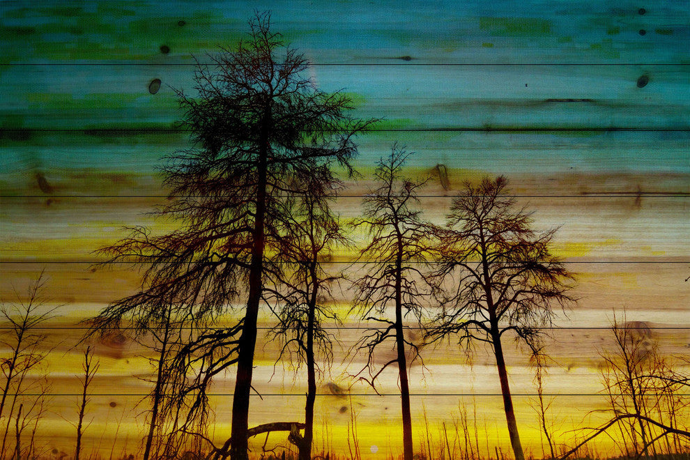 "Emerald Sky" Print on Natural Pine Wood, 45"x30"