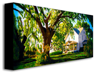 'Farm House' Canvas Art by Roderick Stevens