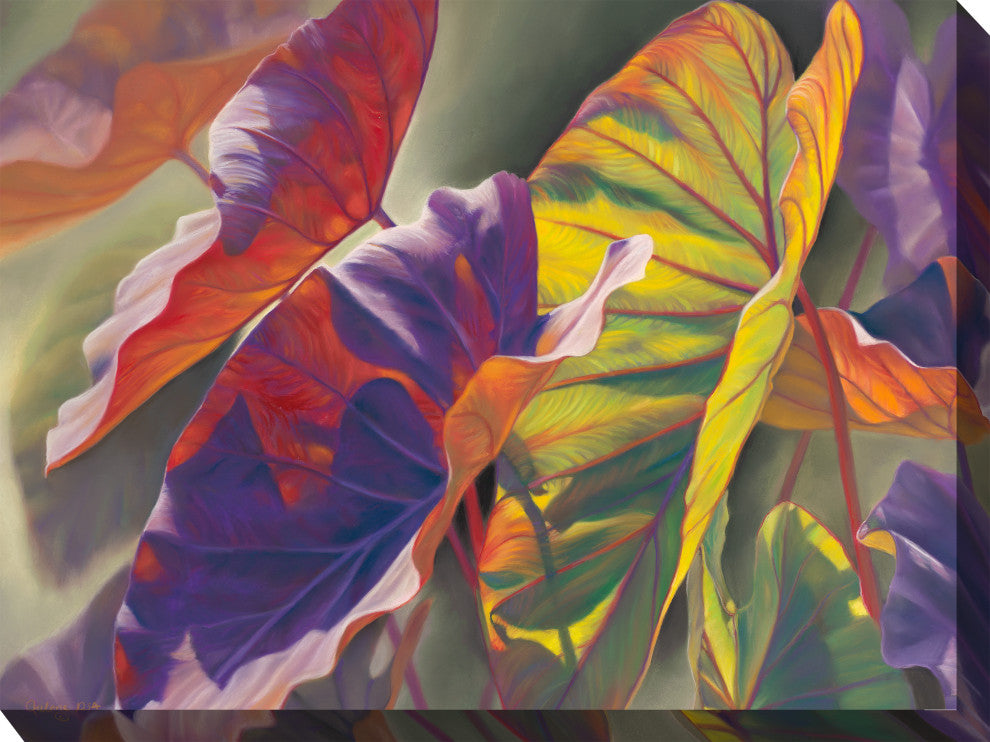 OU-80116 Elephant Ears Outdoor Art