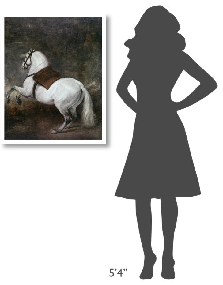 "A White Horse" Digital Paper Print by Diego Velazquez, 26"x32"