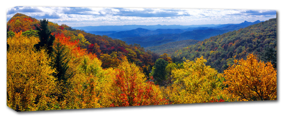 Doug Cavanah 'Autumn Forest' Canvas Art, 6x19