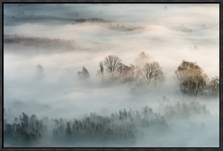 "Winter Fog" Framed Canvas Giclee by Marco Galimberti, 25x17"