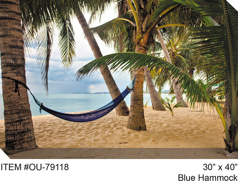 Blue Hammock Outdoor Art