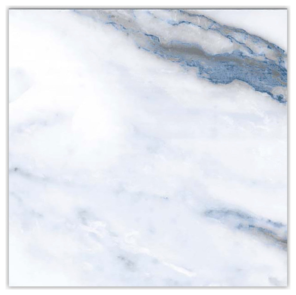 Calacatta Bluette Glossy 24x24 Porcelain Tile