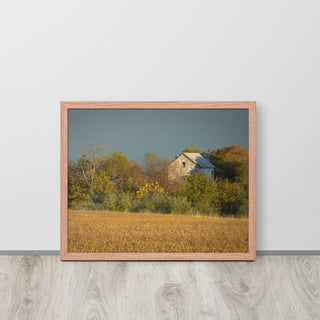 Abandoned Barn In The Trees Framed Photo Paper Wall Art Prints, Red Oak, 16" X 20"