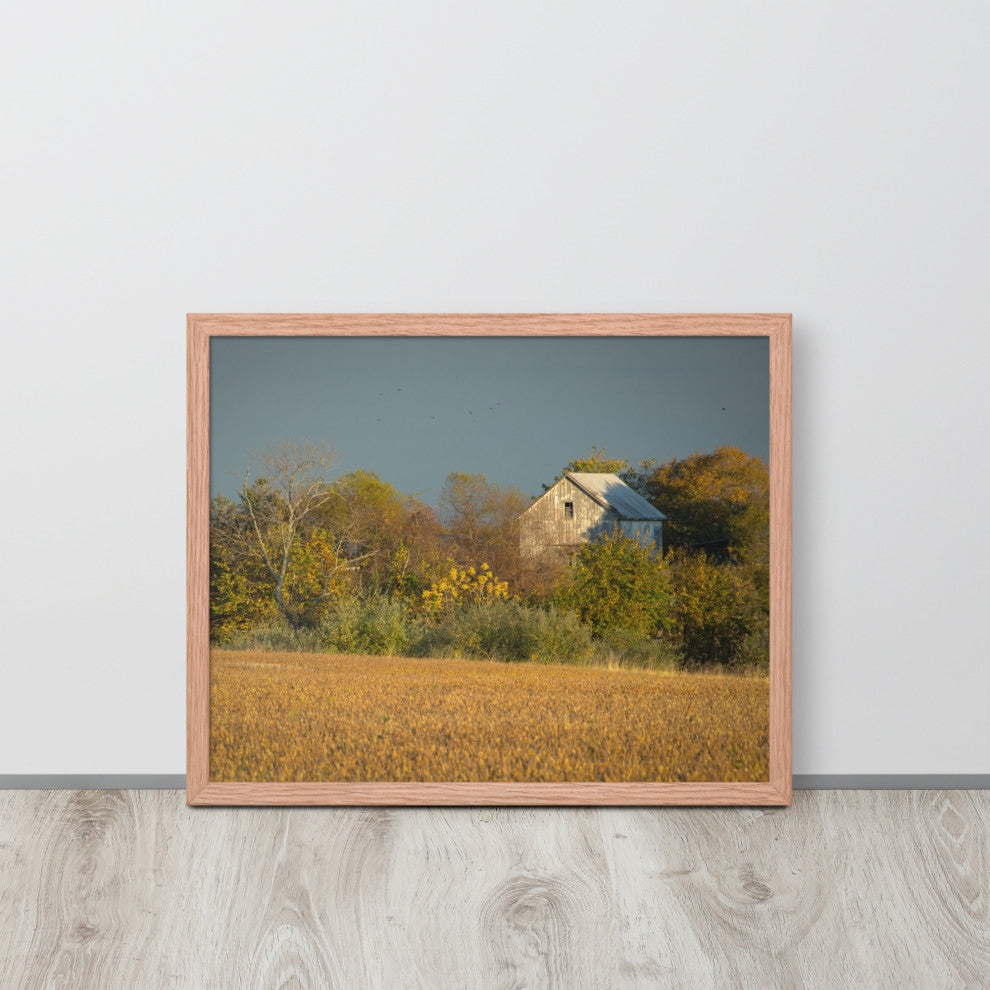 Abandoned Barn In The Trees Framed Photo Paper Wall Art Prints, Red Oak, 16" X 20"