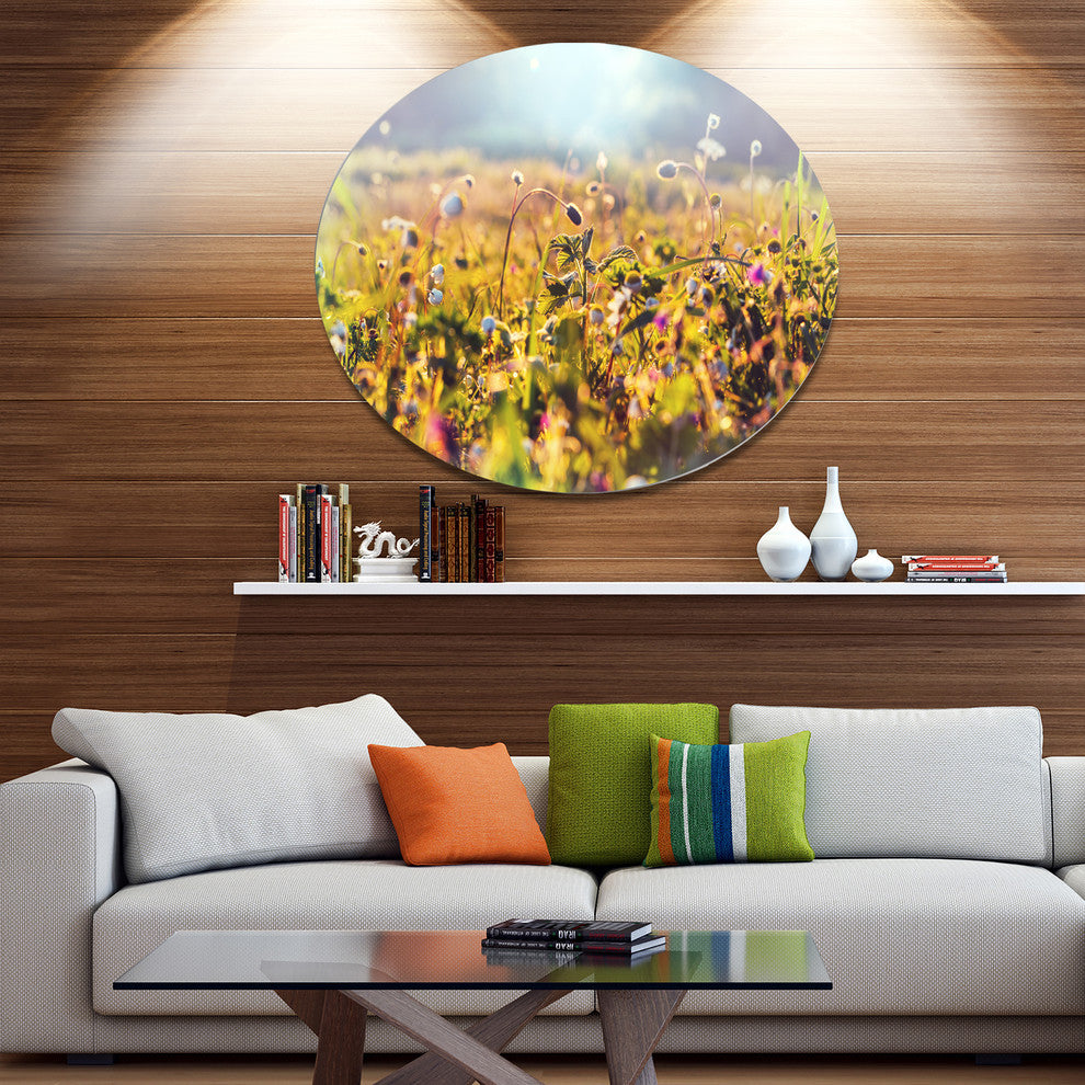 Summer Flowers On Sunny Day, Floral Disc Metal Wall Art, 23"