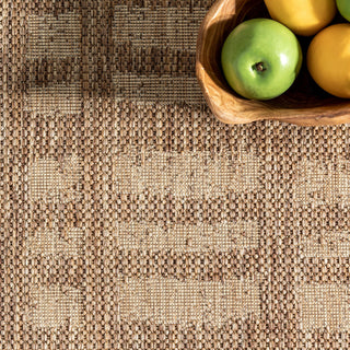 Nuloom Marin Contemporary Indoor/Outdoor Area Rug, Brown 6'7"x9'
