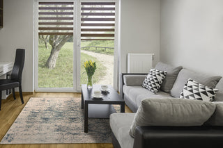 Brilliant Rug, 5'3"x7'7"