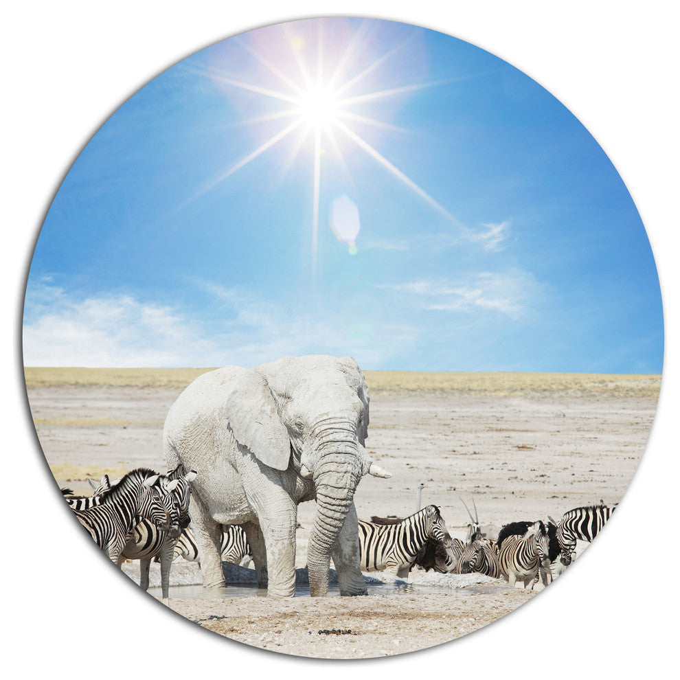 White Elephant And Herd Of Zebras, Animal Round Metal Wall Art, 23"