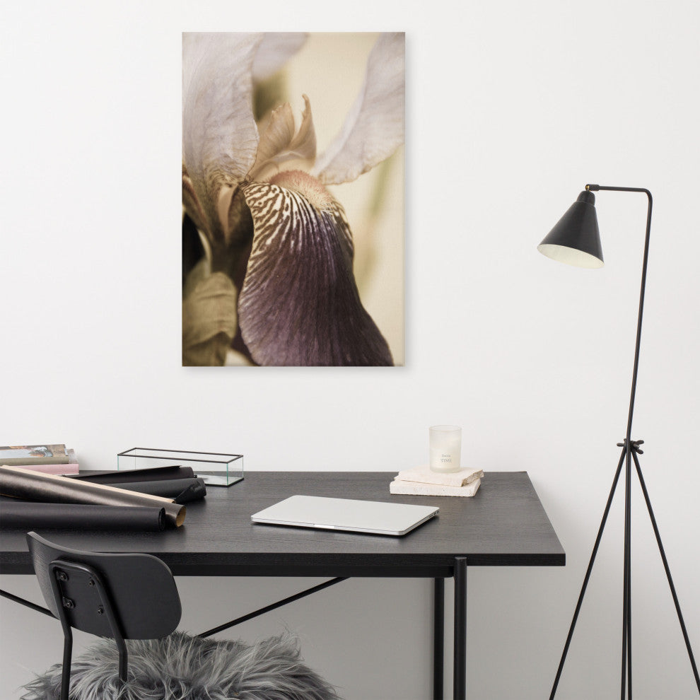 Japanese Iris Delight Aged Floral / Botanical Canvas Wall Art Print, 24" X 36"