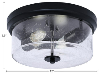 12" 2-Light Flush Mount Light, Matte Black, Clear Bubble Glass