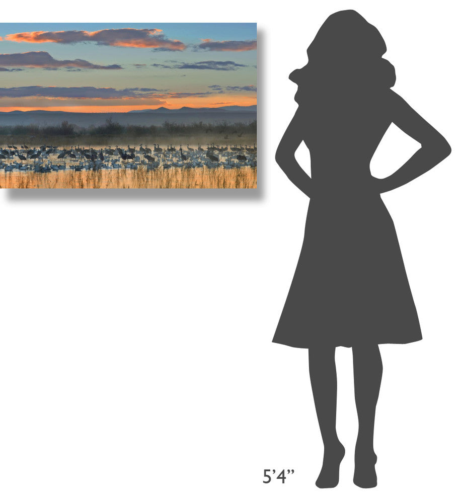 "Snow Geese and Sandhill Cranes, New Mexico" Paper Art, 36"x24"