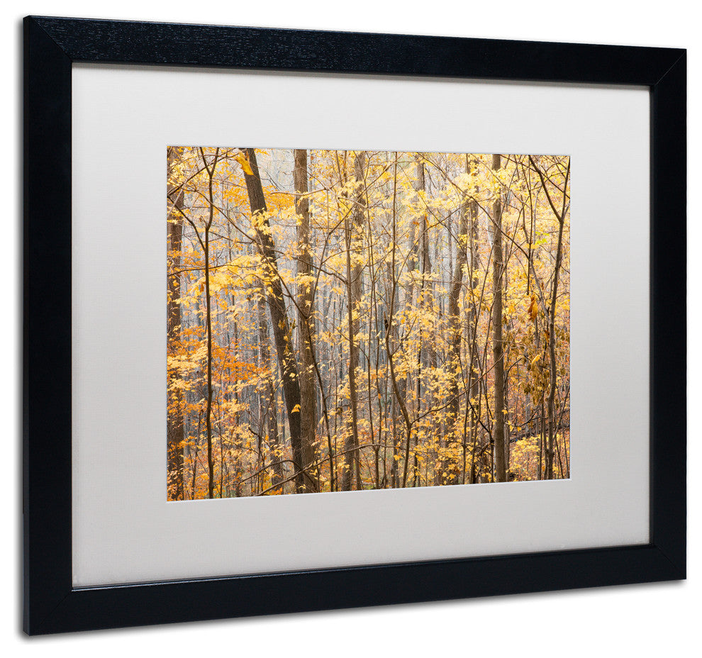 Jason Shaffer 'Autumn Treeline 2', Black Frame, White Mat, 20x16